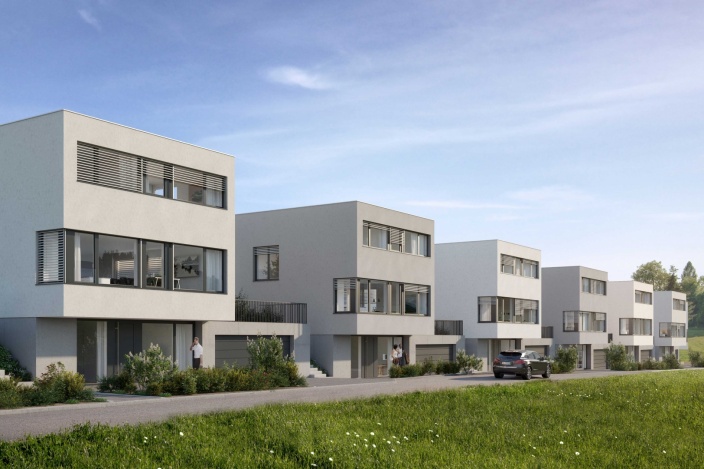 Neubau 8 EFH Sonnmatt, Berg